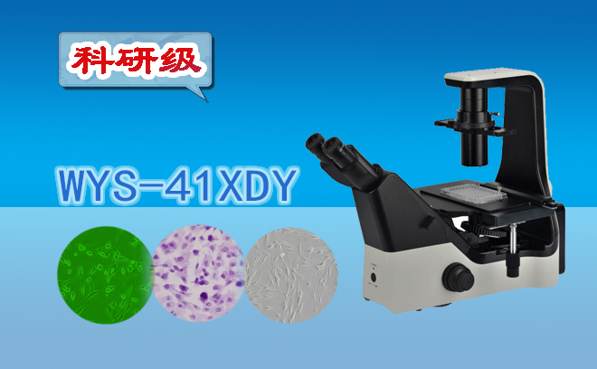 科研级三目倒置荧光显微镜WYS-41XDY-倒置荧光显微镜-微仪光电生命科学 
